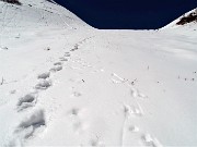 19 In ripida dirittura d'arrivo per il Passo San Simone 